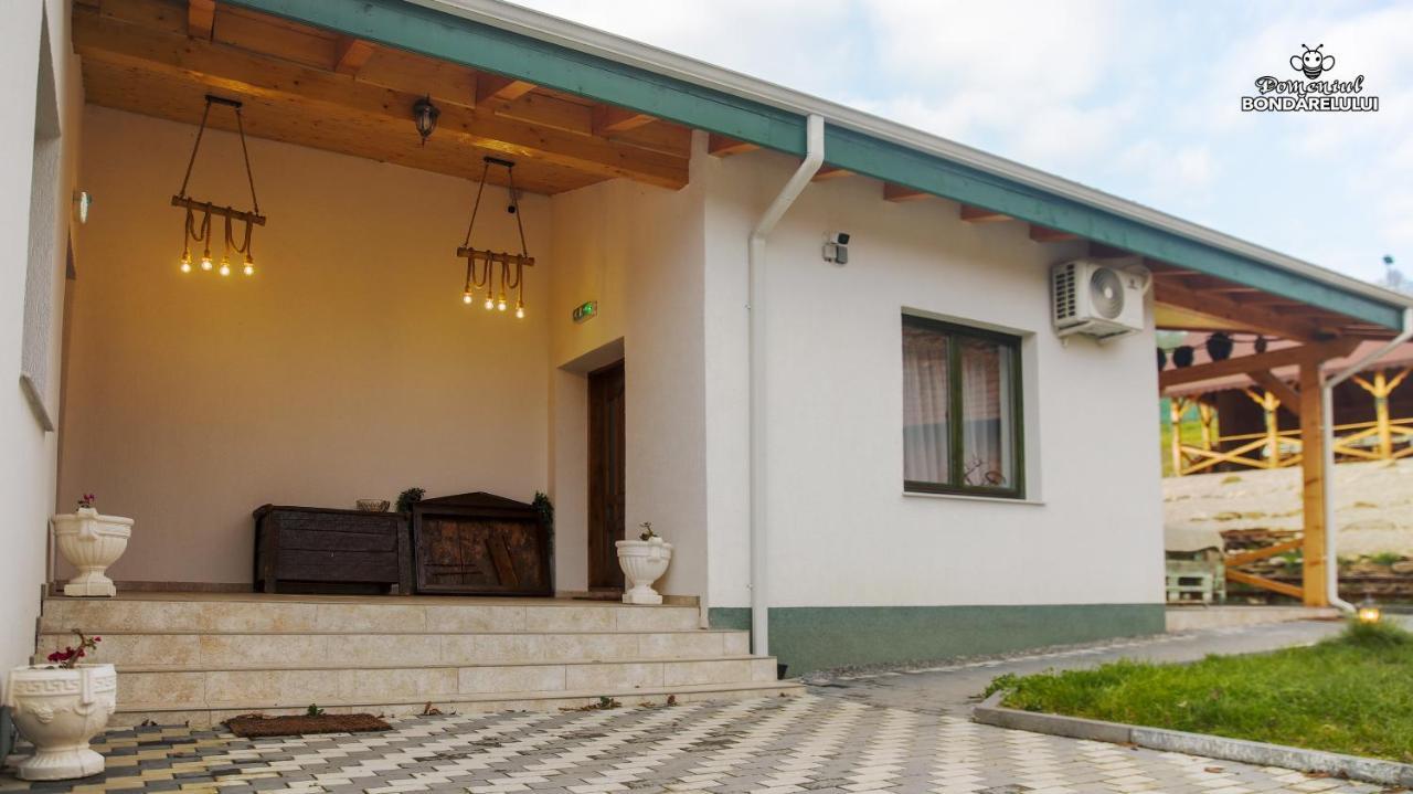 Hotel Domeniul Bondarelului Ocolisu Mic Exterior foto